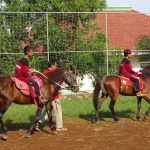 DSC07919