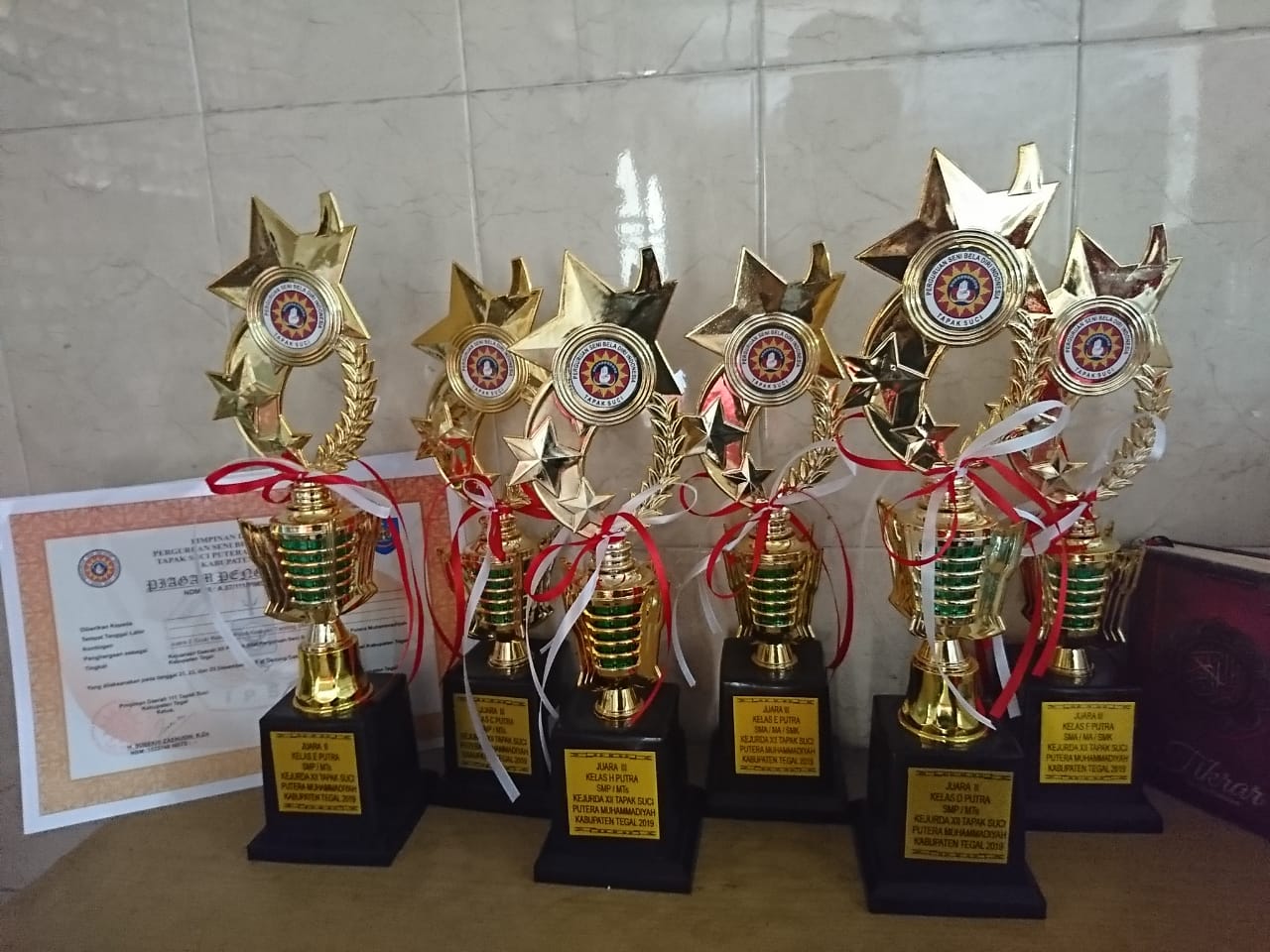 Juara Tapak Suci Musyda Kab Tegal